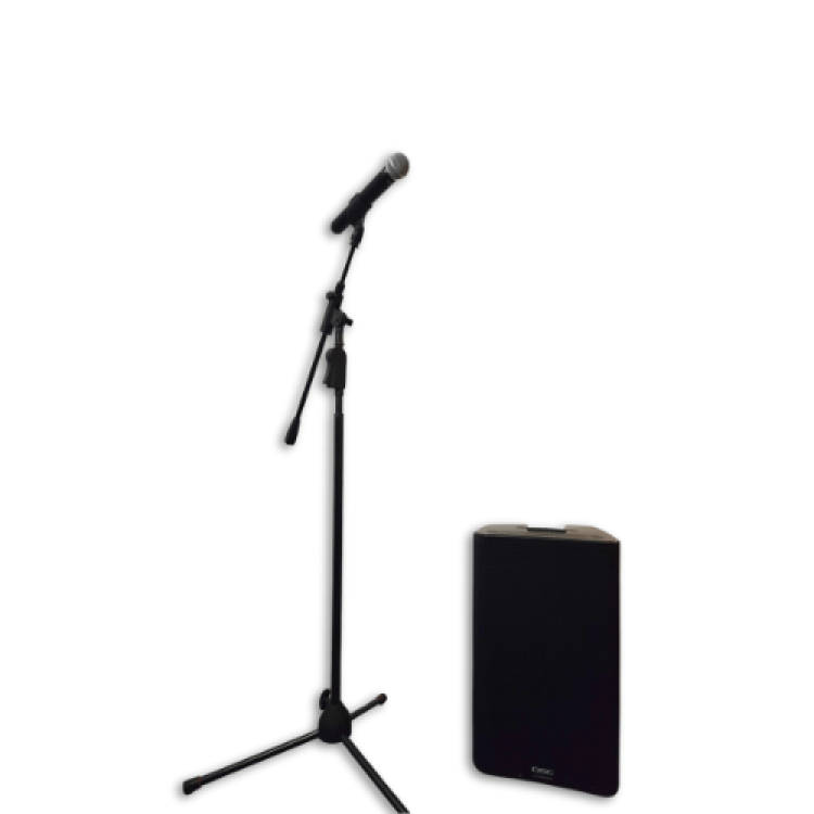 Microphone & Speaker Package (Wireless Setup)
