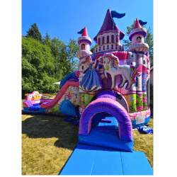 princess castle bounce house dual lane slide rental woodinville 17 1 Princess Castle Bounce House and Dual Lane Slide Combo