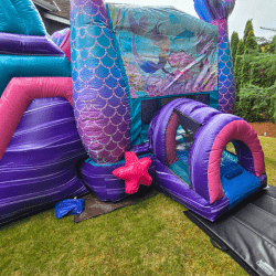 under the sea bounce house dual lane slide rental mercer island 17 1 Under The Sea Bounce House and Dual Lane Slide Combo